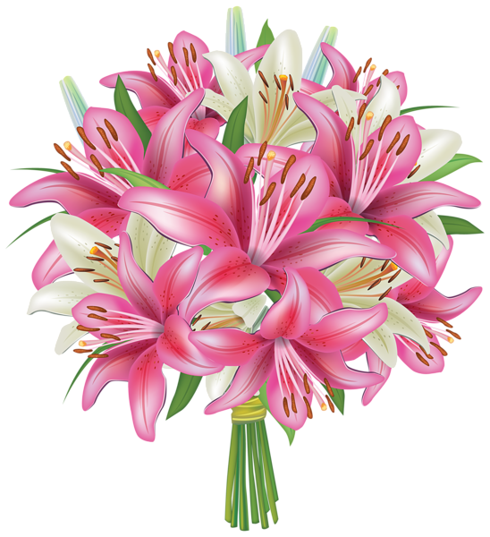 This png image - White and Pink Lilies Flowers Bouquet PNG Clipart Image, is available for free download
