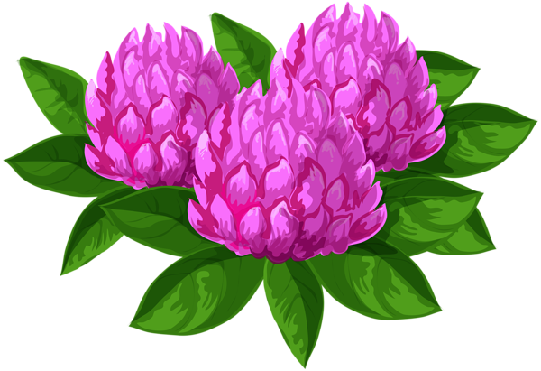 This png image - Wild Flowers PNG Clip Art Image, is available for free download