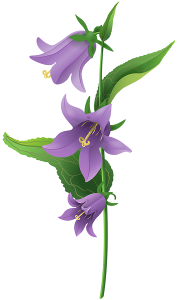 This png image - Wild Purple Bell Flower PNG Clip Art Image, is available for free download