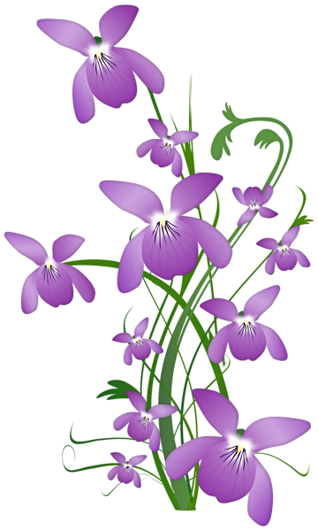 This png image - Wild Violet Flowers PNG Transparent Clipart, is available for free download