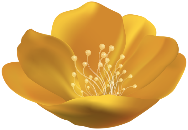 This png image - Yellow Beautiful Flower PNG Transparent Clipart, is available for free download