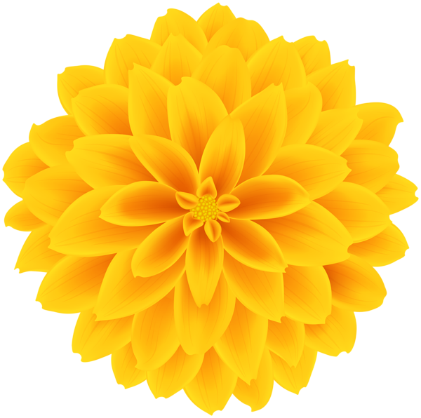 This png image - Yellow Dahlia Flower Transparent Clipart, is available for free download
