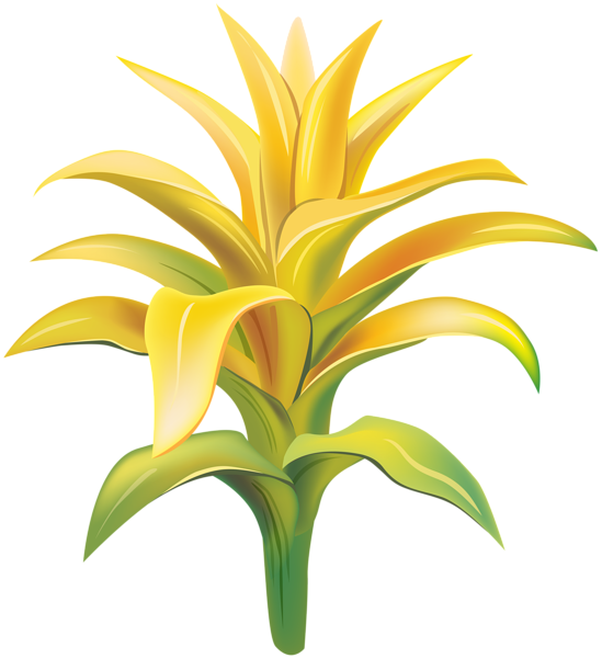 This png image - Yellow Exotic Flower Transparent Clip Art Image, is available for free download