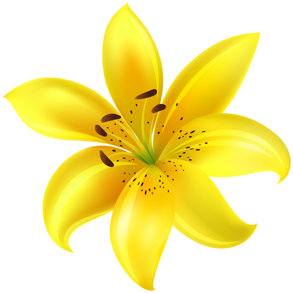 This png image - Yellow Flower Clip Art Image, is available for free download