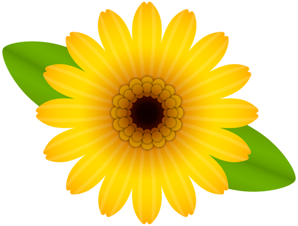 This png image - Yellow Flower Decorative Transparent Image, is available for free download