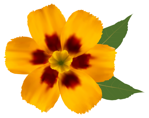 This png image - Yellow Flower PNG Clipart Image, is available for free download