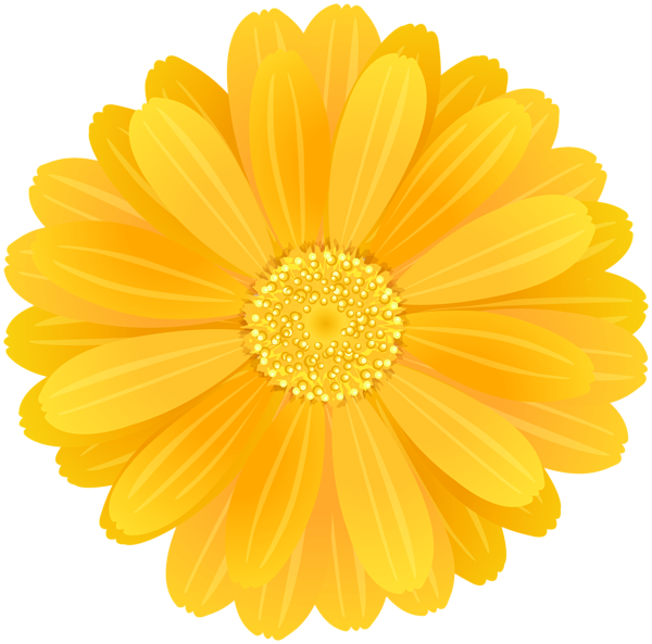 Yellow Flower PNG Image | Gallery Yopriceville - High-Quality Images