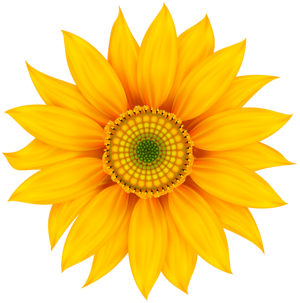 This png image - Yellow Flower Transparent Clip Art Image, is available for free download