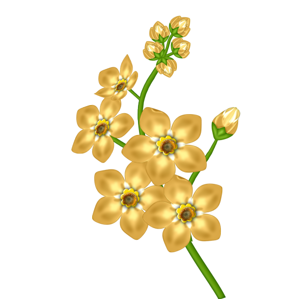 This png image - Yellow Flower Transparent Clipart, is available for free download