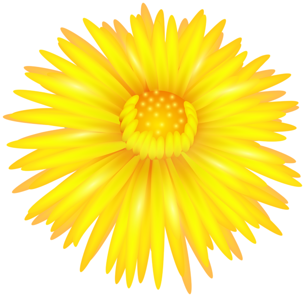 This png image - Yellow Flower Transparent PNG Clip Art, is available for free download