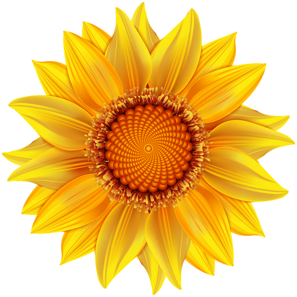 Yellow Flower Transparent PNG Clip Art Image | Gallery Yopriceville