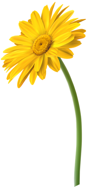 This png image - Yellow Gerbera Flower PNG Clip Art Image, is available for free download