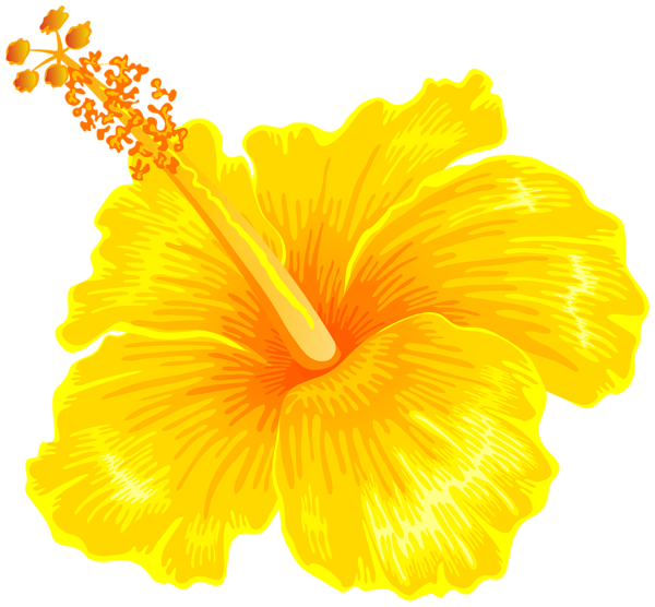 This png image - Yellow Hibiscus Flower PNG Clipart, is available for free download