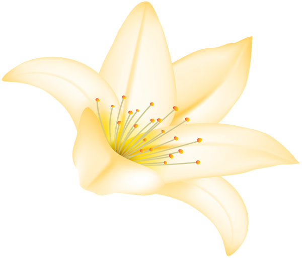 This png image - Yellow Lilium Flower PNG Clipart, is available for free download