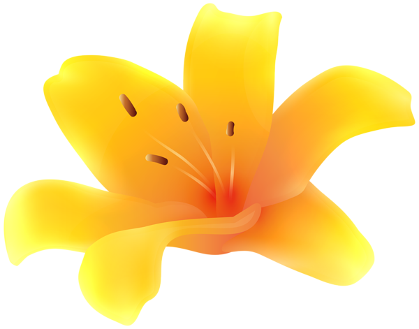 This png image - Yellow Lily Flower PNG Transparent Clipart, is available for free download