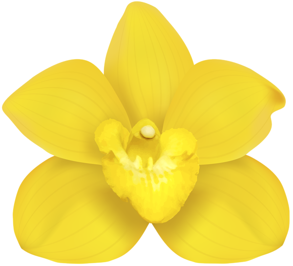 This png image - Yellow Orchid PNG Clip Art, is available for free download