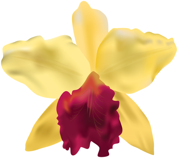 This png image - Yellow Orchid PNG Clip Art Image, is available for free download