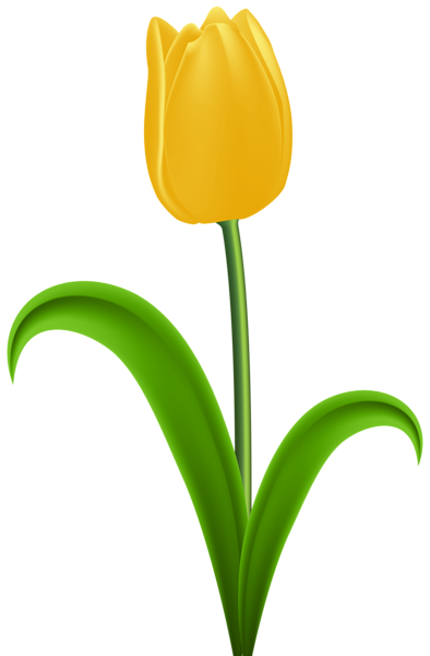 Yellow Tulip Transparent PNG Clip Art | Gallery ... (394 x 600 Pixel)