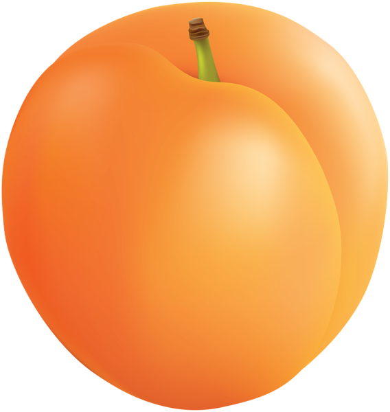 This png image - Apricot PNG Clip Art, is available for free download
