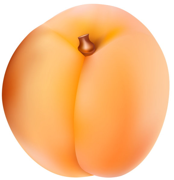 This png image - Apricot PNG Clip Art Image, is available for free download