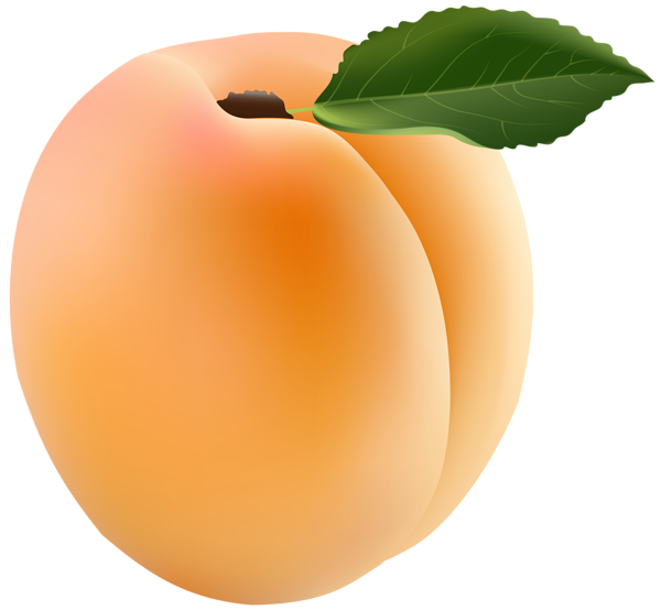 This png image - Apricot Transparent PNG Clip Art Image, is available for free download