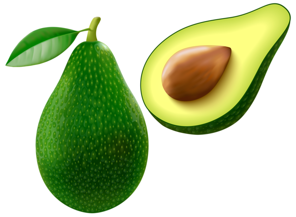 This png image - Avocado PNG Vector Clipart Image, is available for free download