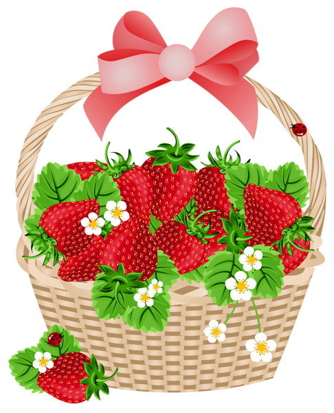 Basket with Strawberries Transparent PNG Clipart | Gallery Yopriceville