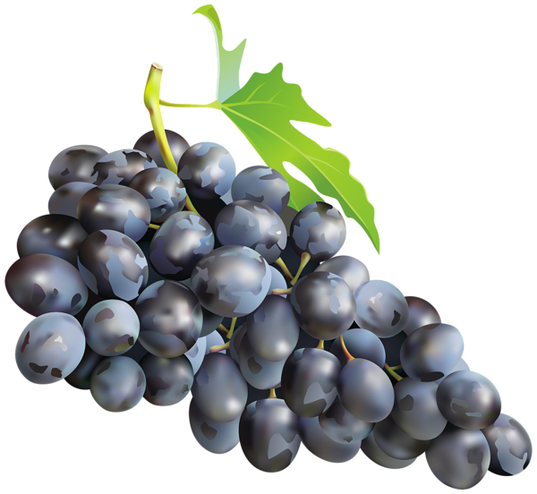 This png image - Black Grapes PNG Clip Art Image, is available for free download
