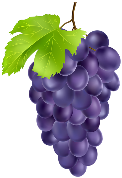 This png image - Black Grapes PNG Clipart, is available for free download