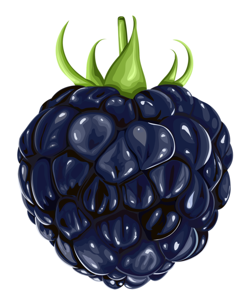 This png image - Blackberry Fruit PNG Clipart, is available for free download