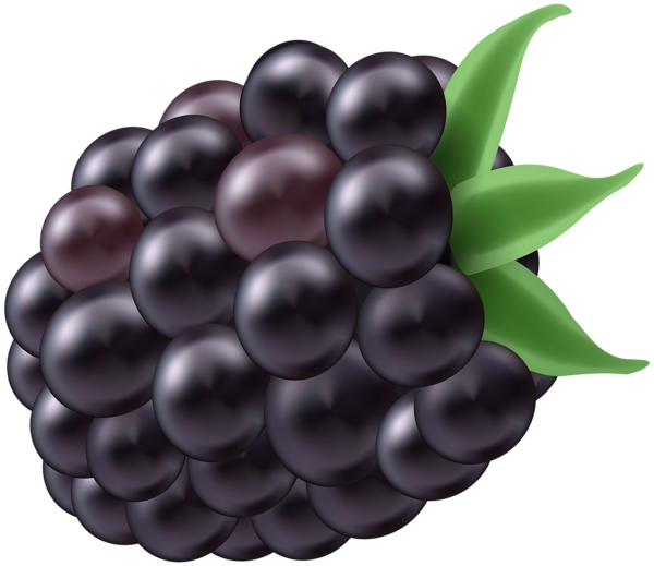 This png image - Blackberry PNG Clip Art Image, is available for free download