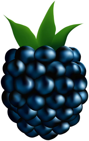 This png image - Blackberry PNG Clipart, is available for free download