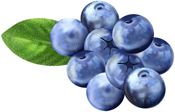 This png image - Blueberries PNG Clip Art Image, is available for free download