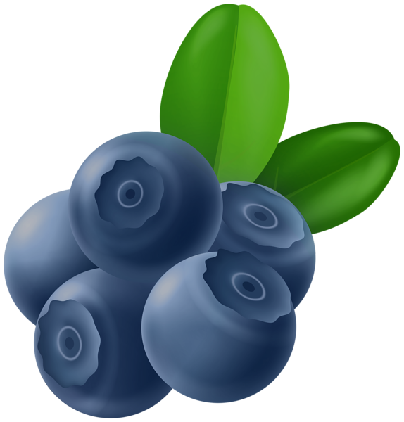 This png image - Blueberries PNG Clipart, is available for free download