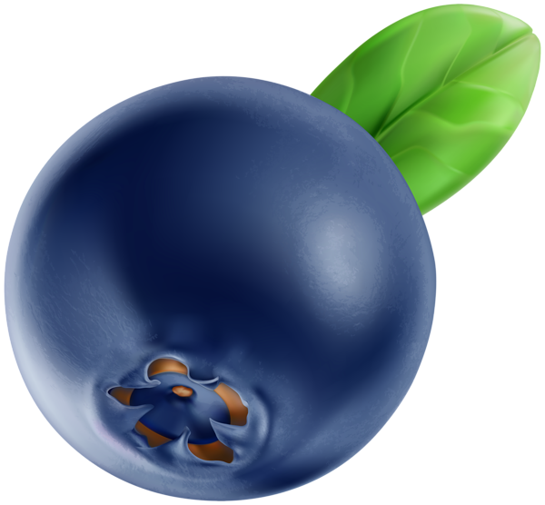 This png image - Blueberry PNG Clip Art Image, is available for free download