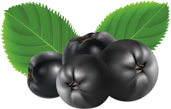 This png image - Blueberry PNG Clipart Picture, is available for free download