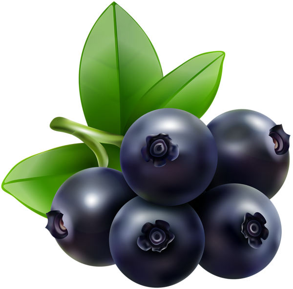 This png image - Blueberry Transparent Clip Art Image, is available for free download