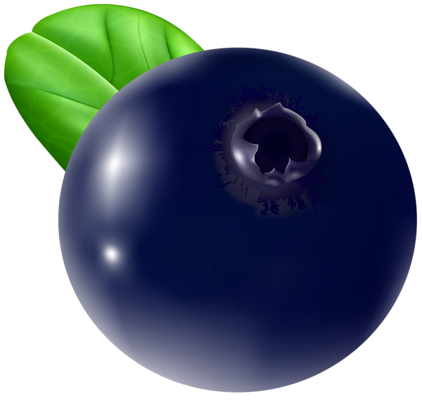 This png image - Blueberry Transparent PNG Clip Art Image, is available for free download