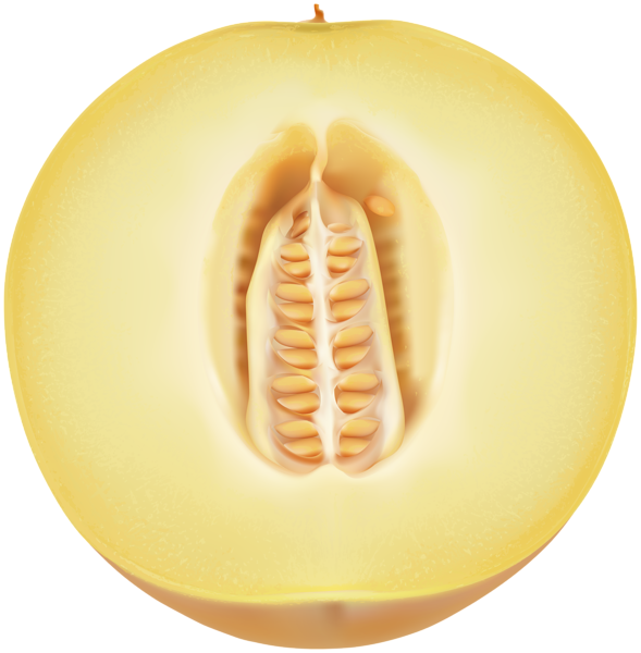 This png image - Cantaloupe PNG Clip Art Image, is available for free download