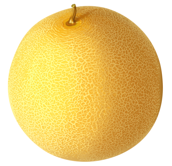 This png image - Cantaloupe PNG Clipart Picture, is available for free download