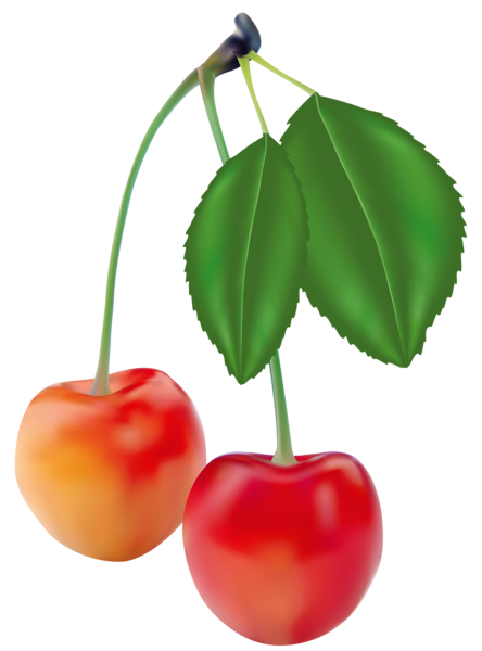 This png image - Cherries Clipart Picture, is available for free download