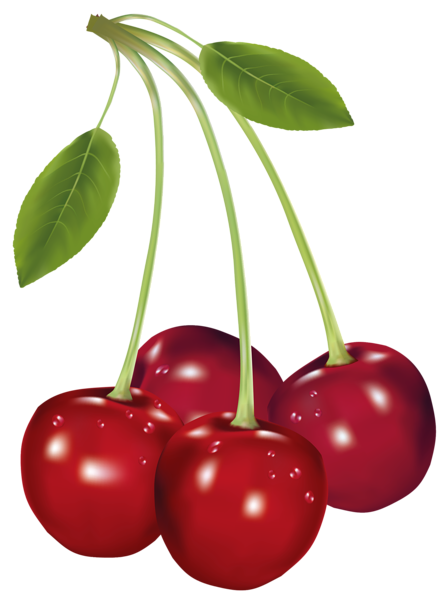 This png image - Cherries PNG Clipart Picture, is available for free download