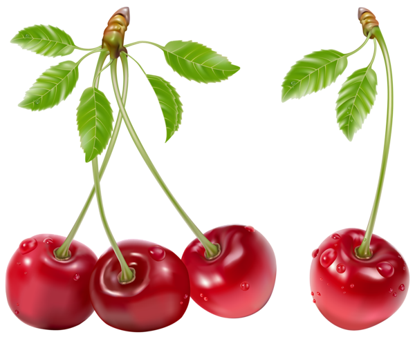 This png image - Cherries PNG Picture, is available for free download