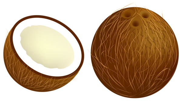 This png image - Coconut PNG Vector Clipart Image, is available for free download