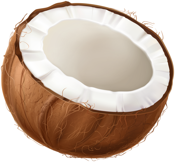 This png image - Coconut Half PNG Clipart, is available for free download
