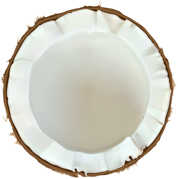 This png image - Coconut PNG Clip Art Image, is available for free download