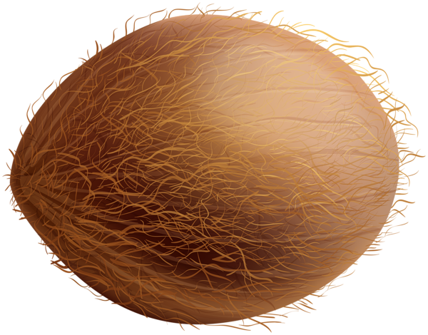 This png image - Coconut PNG Clipart, is available for free download