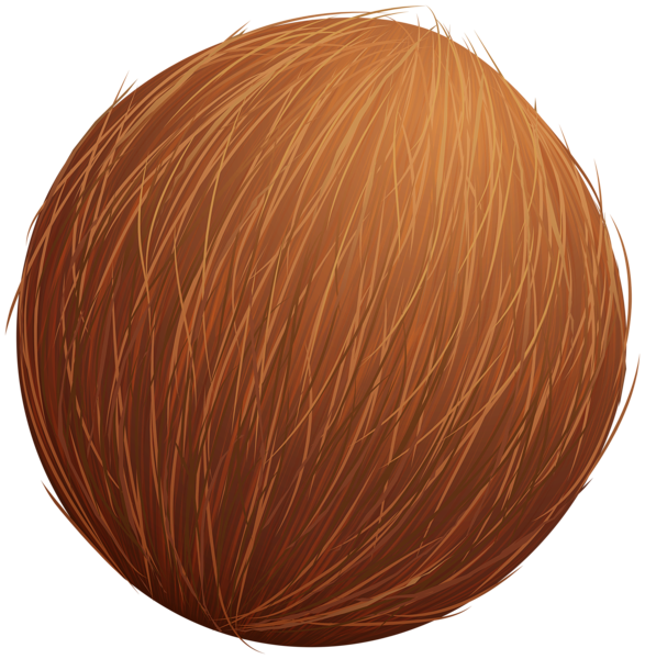 This png image - Coconut PNG Clipart, is available for free download