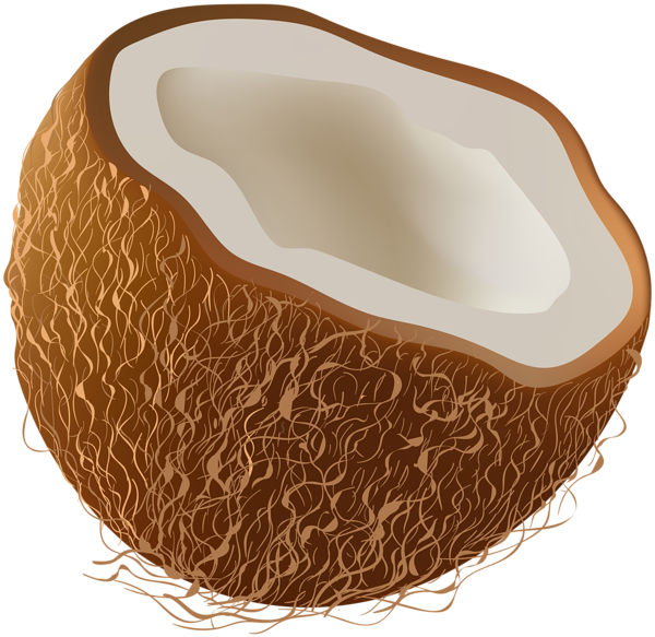 This png image - Coconut Transparent Clip Art Image, is available for free download