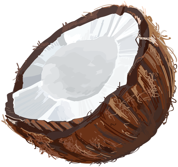 This png image - Coconut Transparent PNG Clip Art, is available for free download